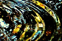 Feature Image 3